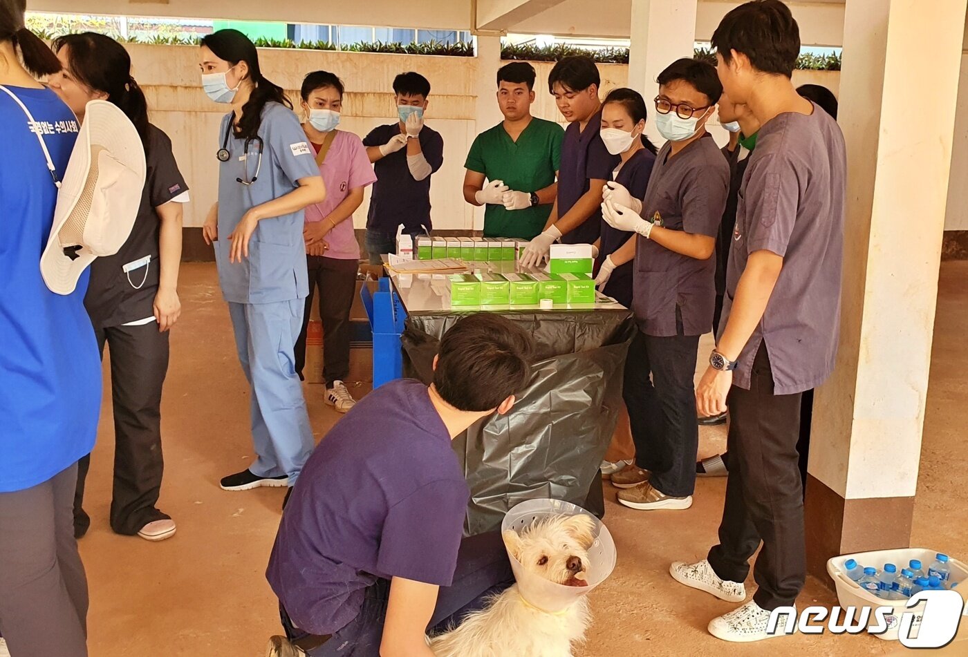 본문 이미지 - 국경없는 수의사회는 12일 라오스 국립대학교 동물병원에서 동물의료봉사 활동을 했다. ⓒ 뉴스1 최서윤 기자