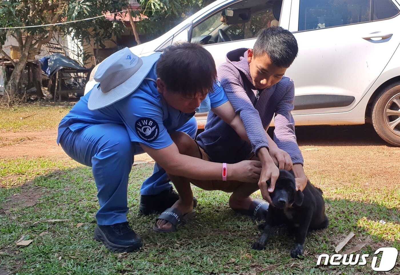 본문 이미지 - 국경없는 수의사회는 12일 라오스 국립대학교 동물병원에서 동물의료봉사 활동을 했다. ⓒ 뉴스1 최서윤 기자