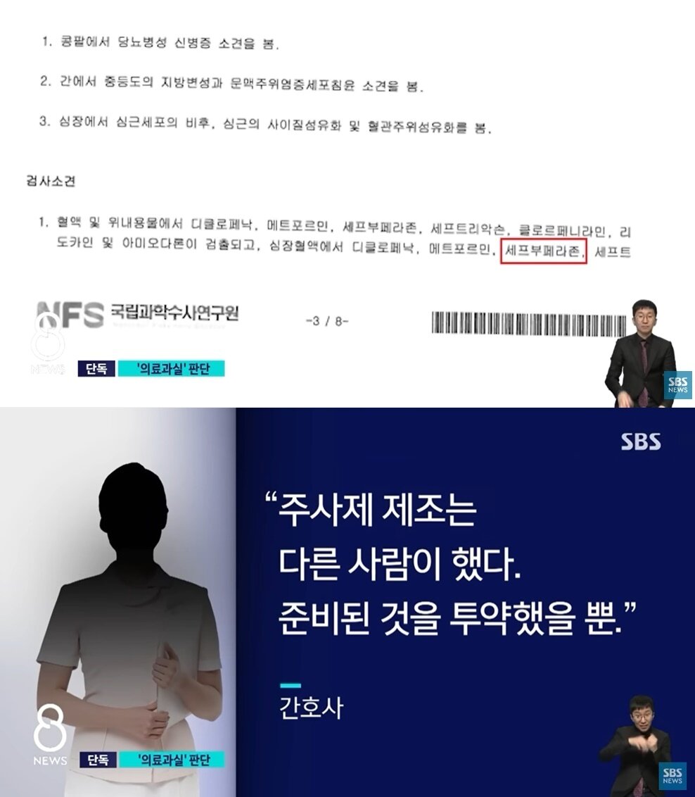 본문 이미지 - (SBS 뉴스 갈무리)