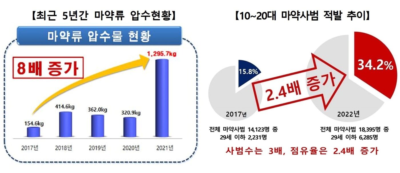 본문 이미지 - 대검찰청 제공.