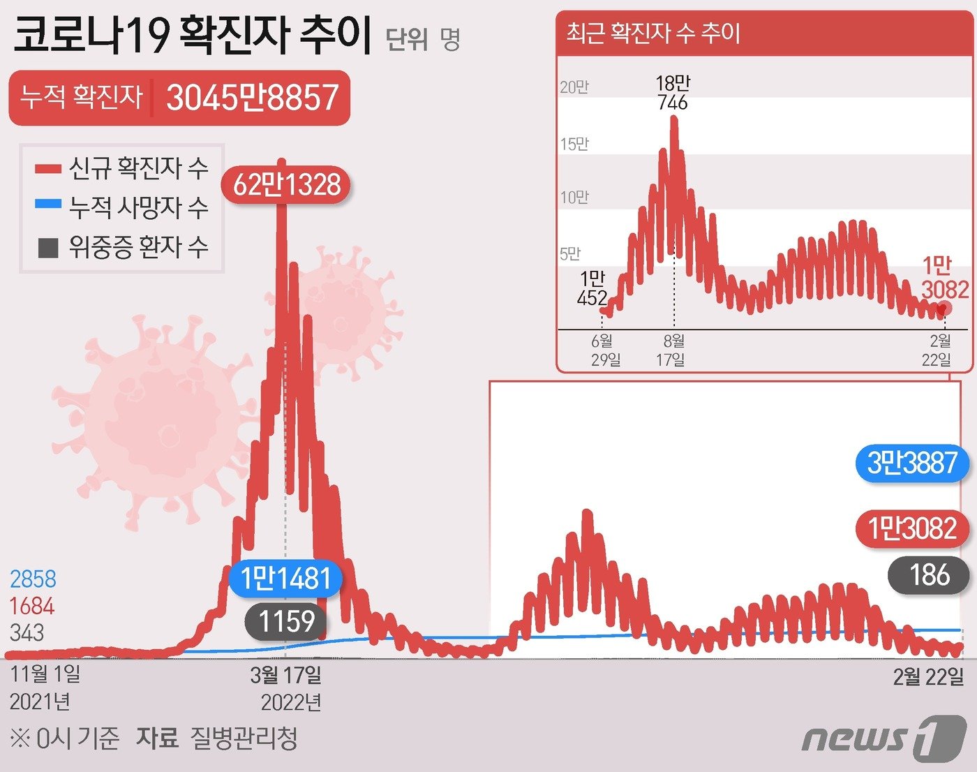 본문 이미지 - ⓒ News1 김초희 디자이너