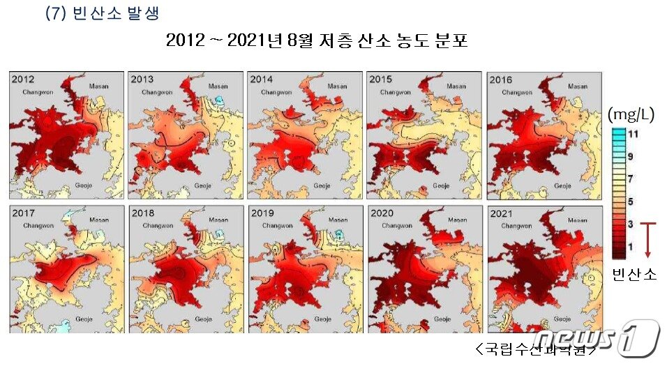 본문 이미지 - 진해만 저층 산소농도 년차별 분포도.&#40;거제통영환경연합 제공&#41;