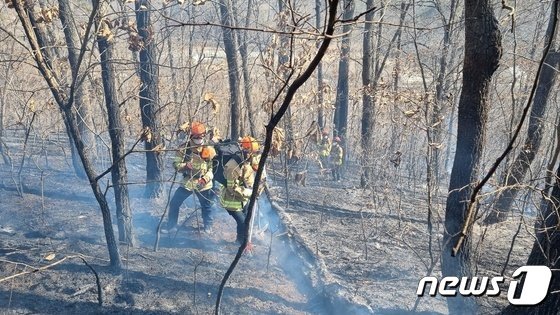 25일 오전 10시46분쯤 경북 안동시 일직면의 한 밭에서 난 불이 야산으로 옮겨 붙어 소방당국이 진화하고 있다.&#40;경북소방본부 제공&#41;/뉴스1