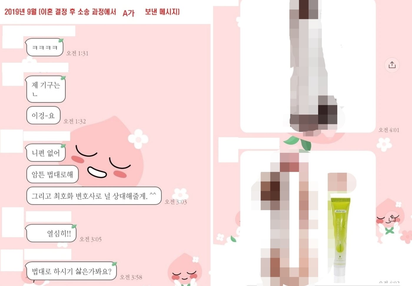 본문 이미지 - (온라인 커뮤니티 갈무리)