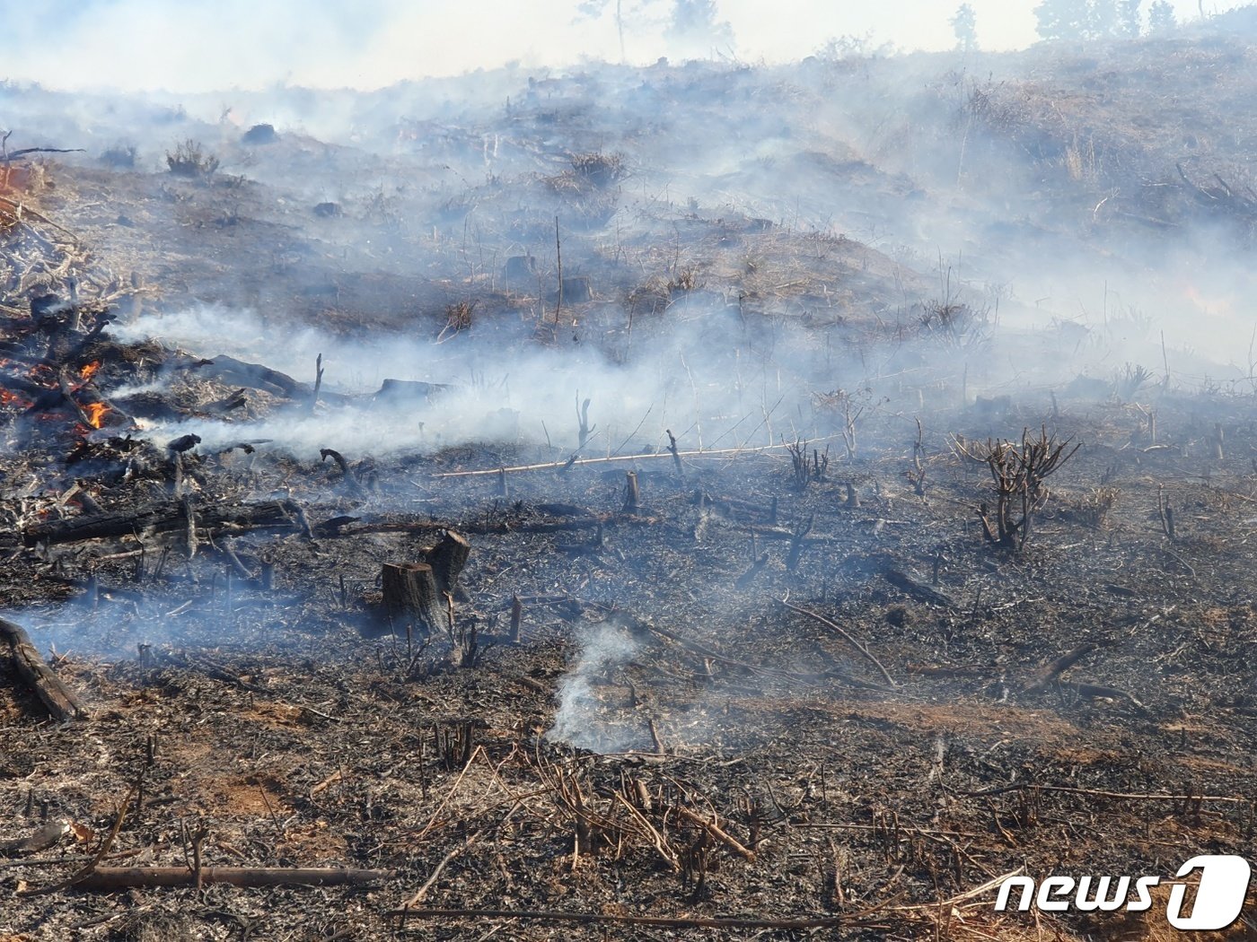 26일 오후 1시25분쯤 전남 화순군 이양면 연화리 일원에서 산불이 발생했다. &#40;산림청 제공&#41; 2023.2.26/뉴스1 ⓒ News1