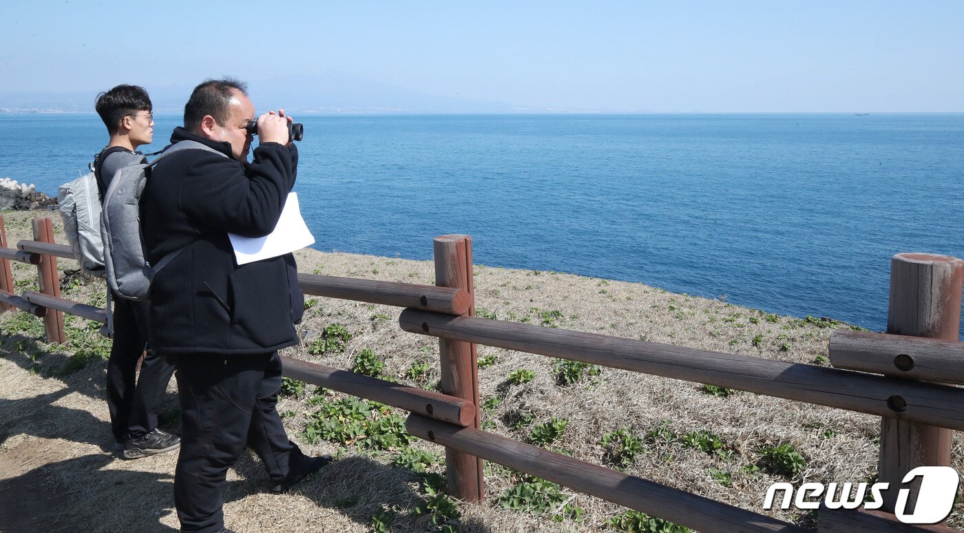 본문 이미지 - 천연기념물 뿔쇠오리 보호를 위한 마라도 고양이 사전 반출 작업이 시작된 27일 오후 제주 서귀포시 마라도에서 제주도와 제주대 관계자들이 뿔쇠오리 예찰 작업을 벌이고 있다. 2023.2.27/뉴스1 ⓒ News1 오현지 기자