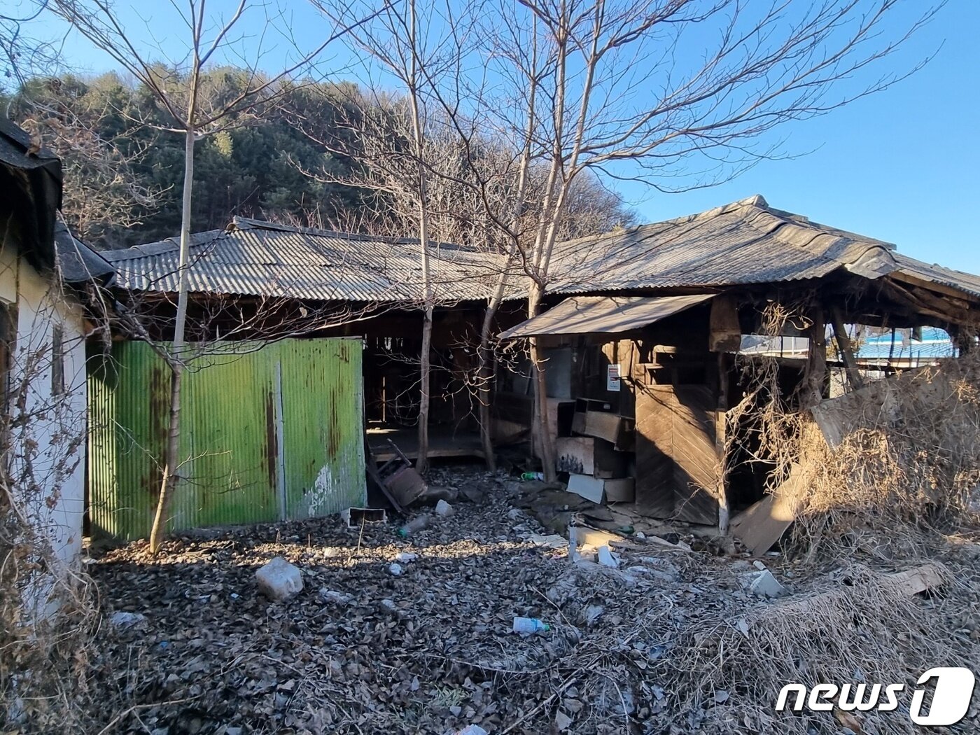 본문 이미지 - 28일 경기 가평군 북면 이곡2리 마을에 있는 폐가. 2023.02.28./뉴스1 양희문 기자 