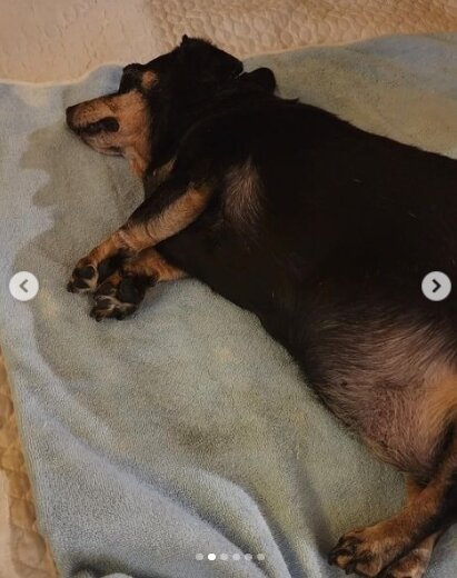 본문 이미지 - 배우 최여진 인스타그램 갈무리