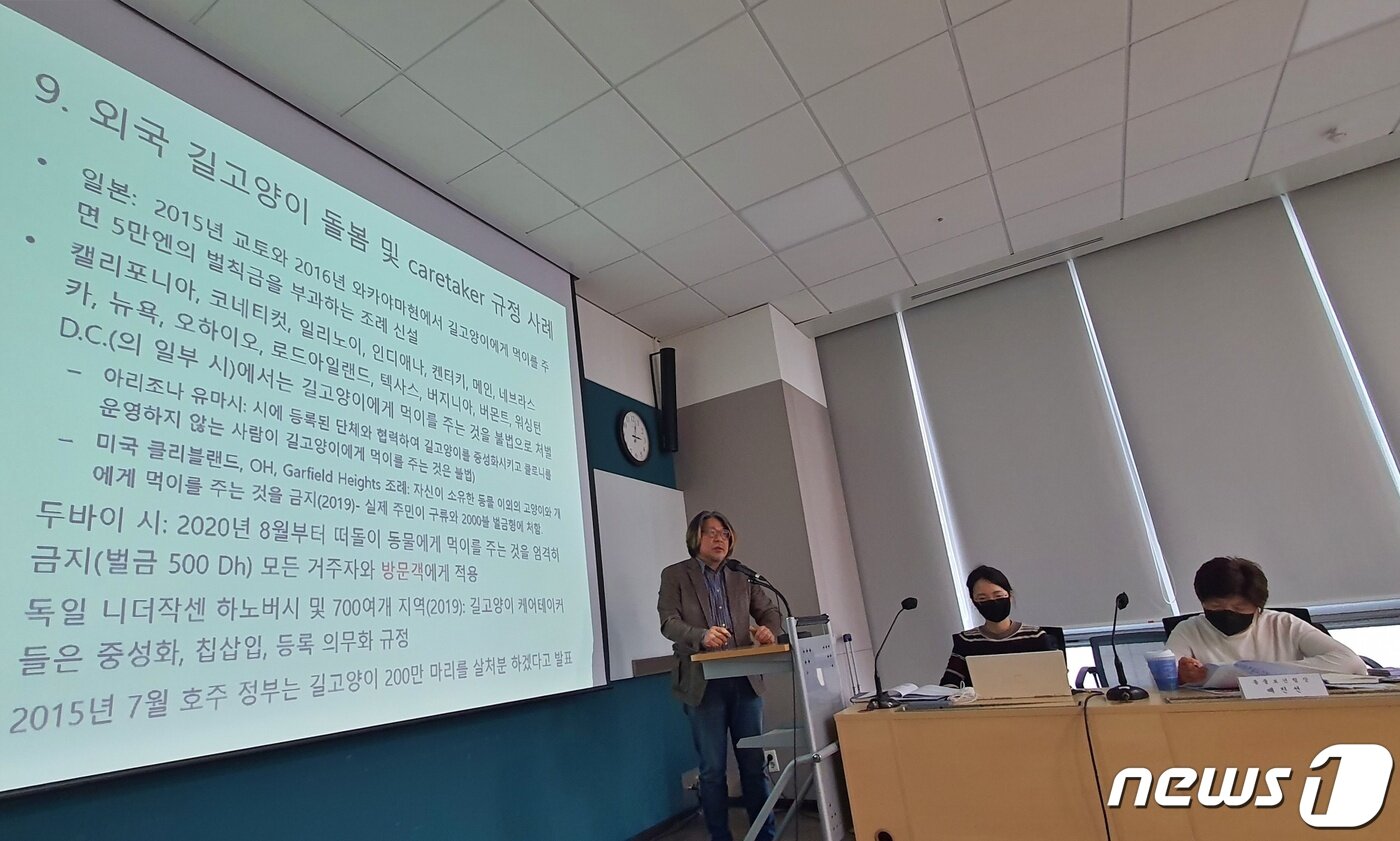 본문 이미지 - 서울시는 6일 서울시청 서소문2청사에서 '올바른 길고양이 돌봄방안 마련을 위한 동물보호 관계자 회의'를 열었다. ⓒ 뉴스1 최서윤 기자
