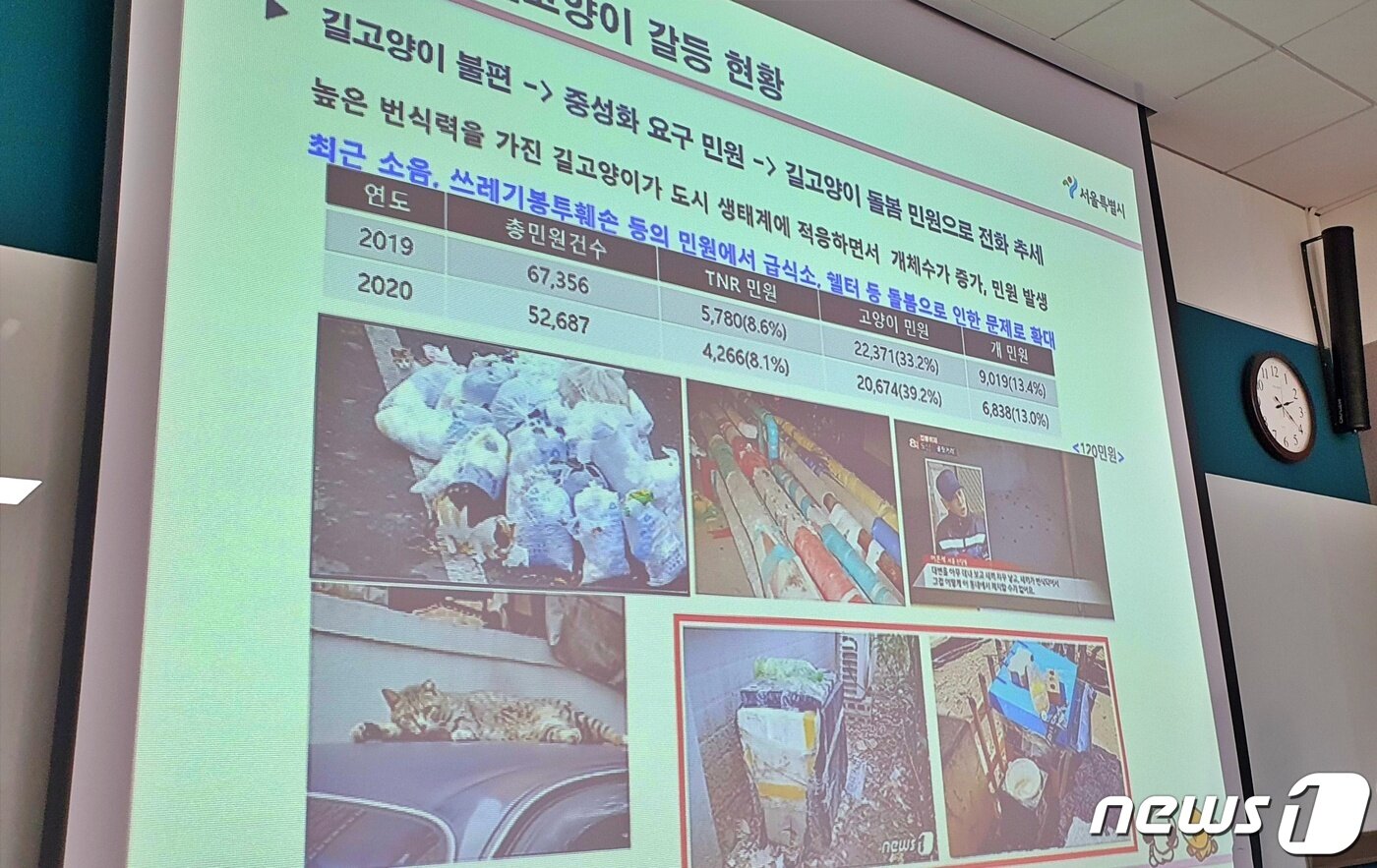 본문 이미지 - 서울시는 6일 서울시청 서소문2청사에서 '올바른 길고양이 돌봄방안 마련을 위한 동물보호 관계자 회의'를 열었다. ⓒ 뉴스1 최서윤 기자