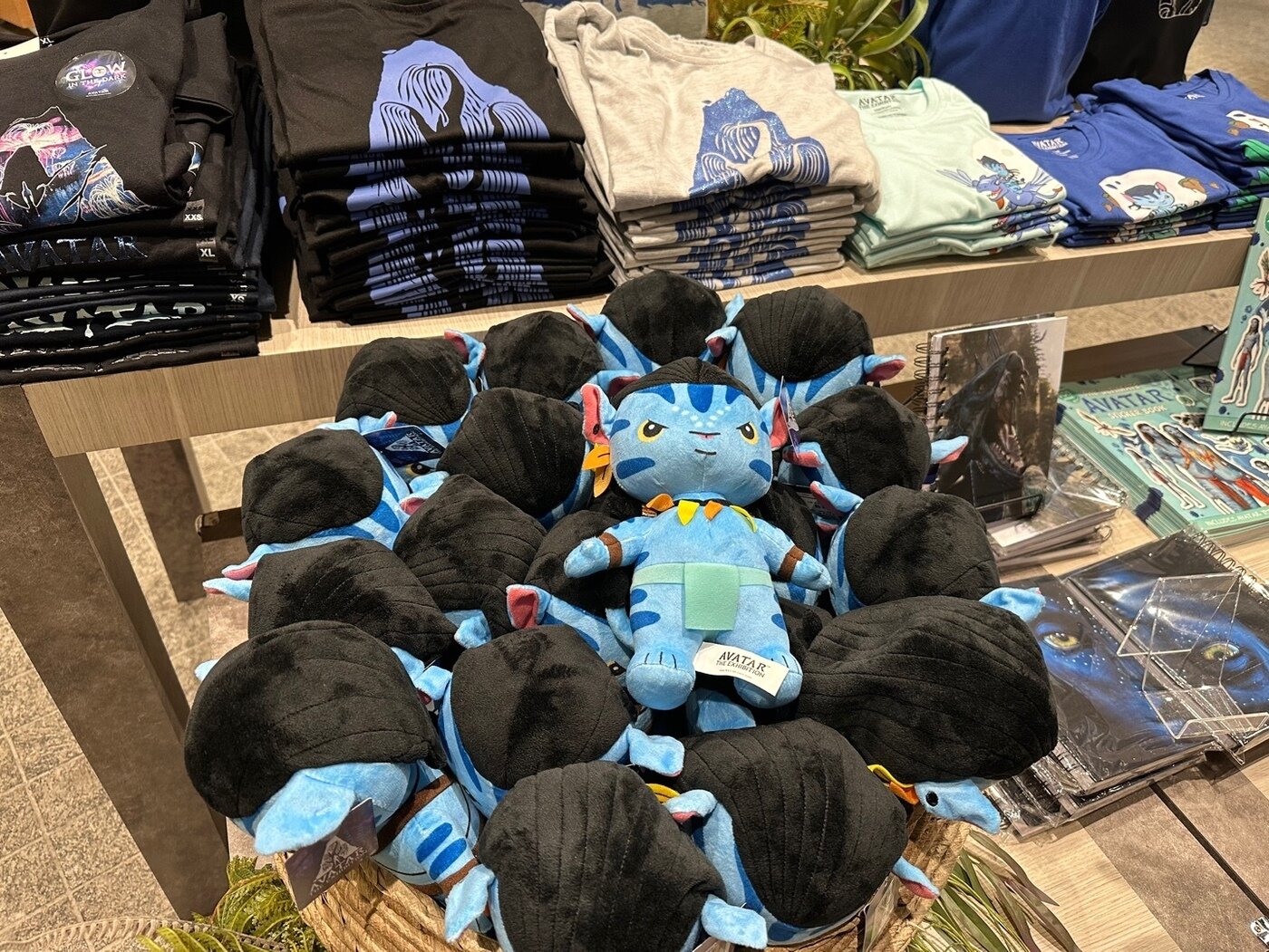 본문 이미지 - 굿즈샵에서 판매하는 귀여운 나비족 인형ⓒ News1