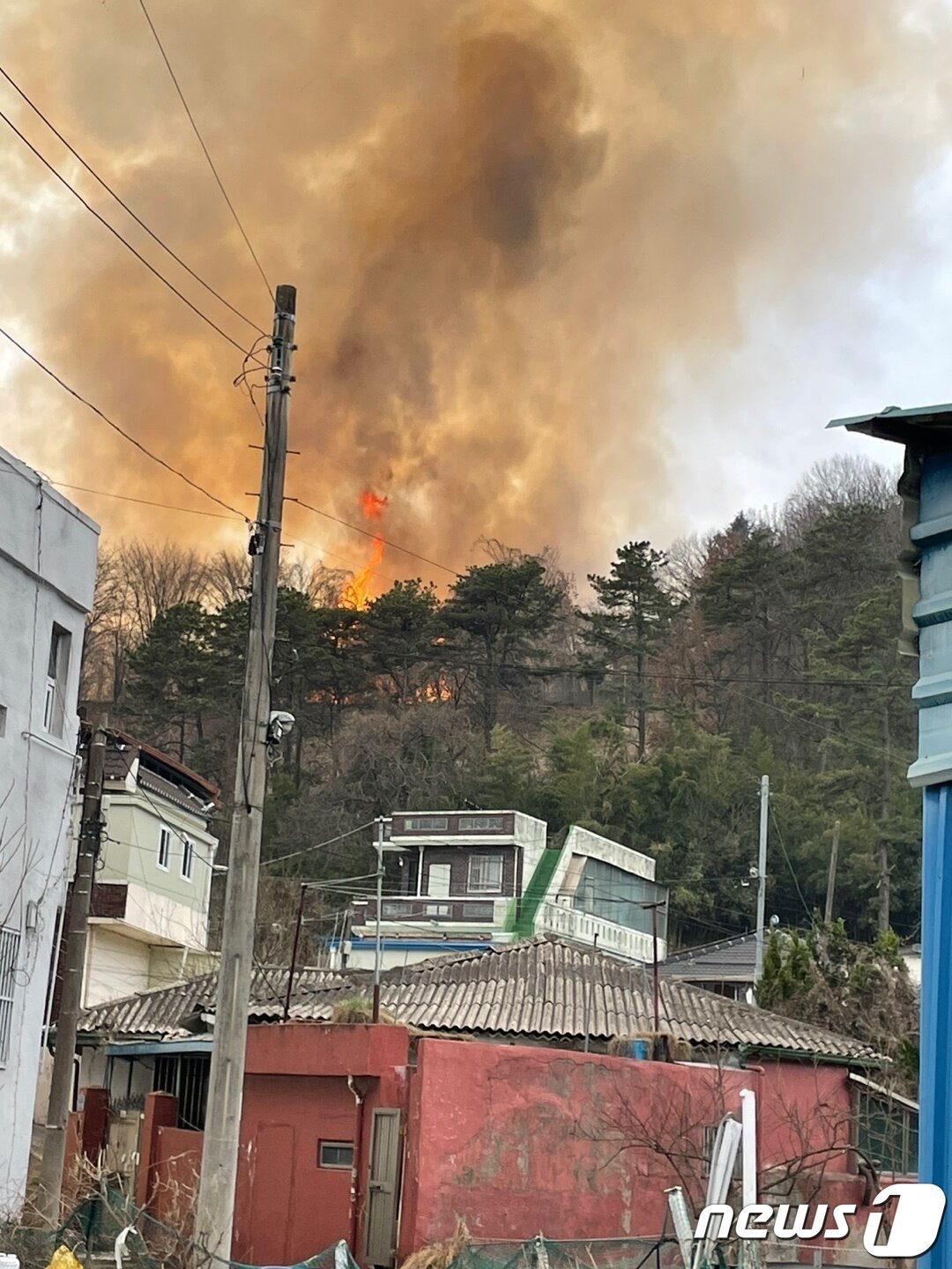 본문 이미지 - 11일 오후 3시55분쯤 광주 북구 동림동 운암산에서 화재가 발생해 소방 당국이 진화에 나섰다.(광주 북구 제공)2023.3.11./뉴스1