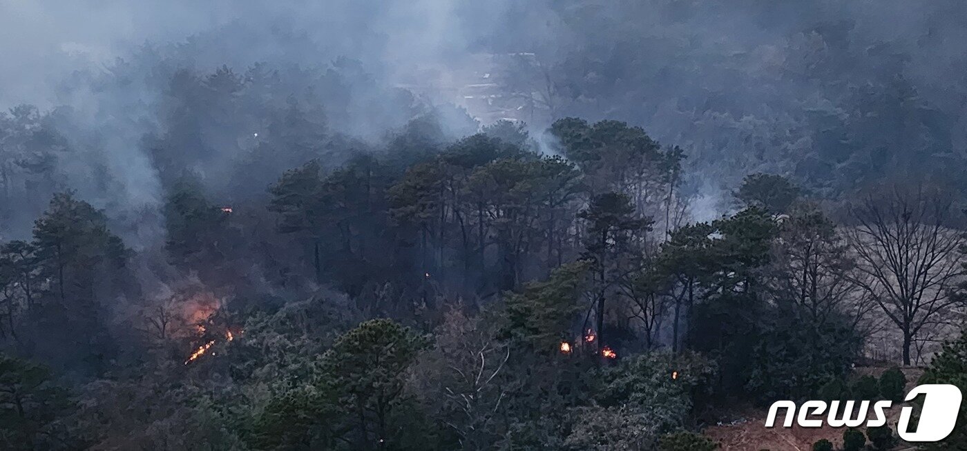 본문 이미지 - 11일 오후 광주 북구 동림동 운암산에서 불이 나 소방대원과 지자체 공무원 등 300여명이 진화에 나섰다.(광주시 제공)2023.3.11./뉴스1