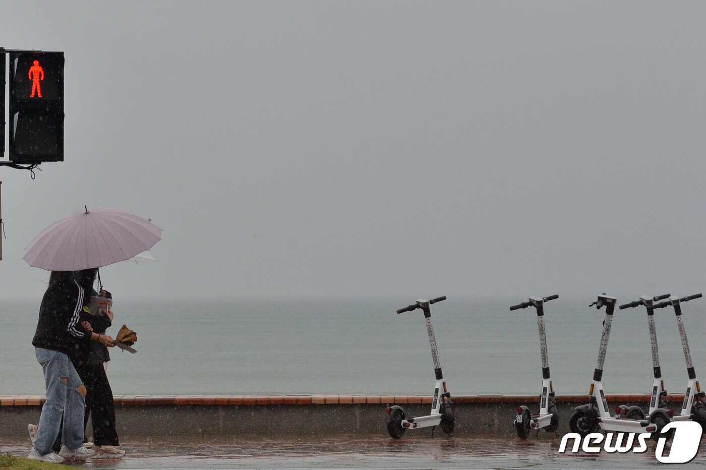 본문 이미지 - 12일 오후 경북 포항시 북구 영일대해수욕장에 해안도로에 전동 킥보드가 손님을 기다리고 있다.2023.3.12/뉴스1 ⓒ News1 최창호 기자