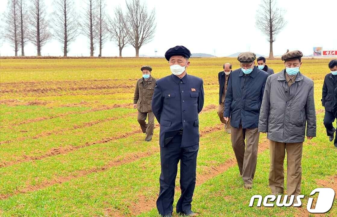 '경제 발전' 집중하는 北…총리 '지도'로 내각 당위원회 전원회의 - 뉴스1