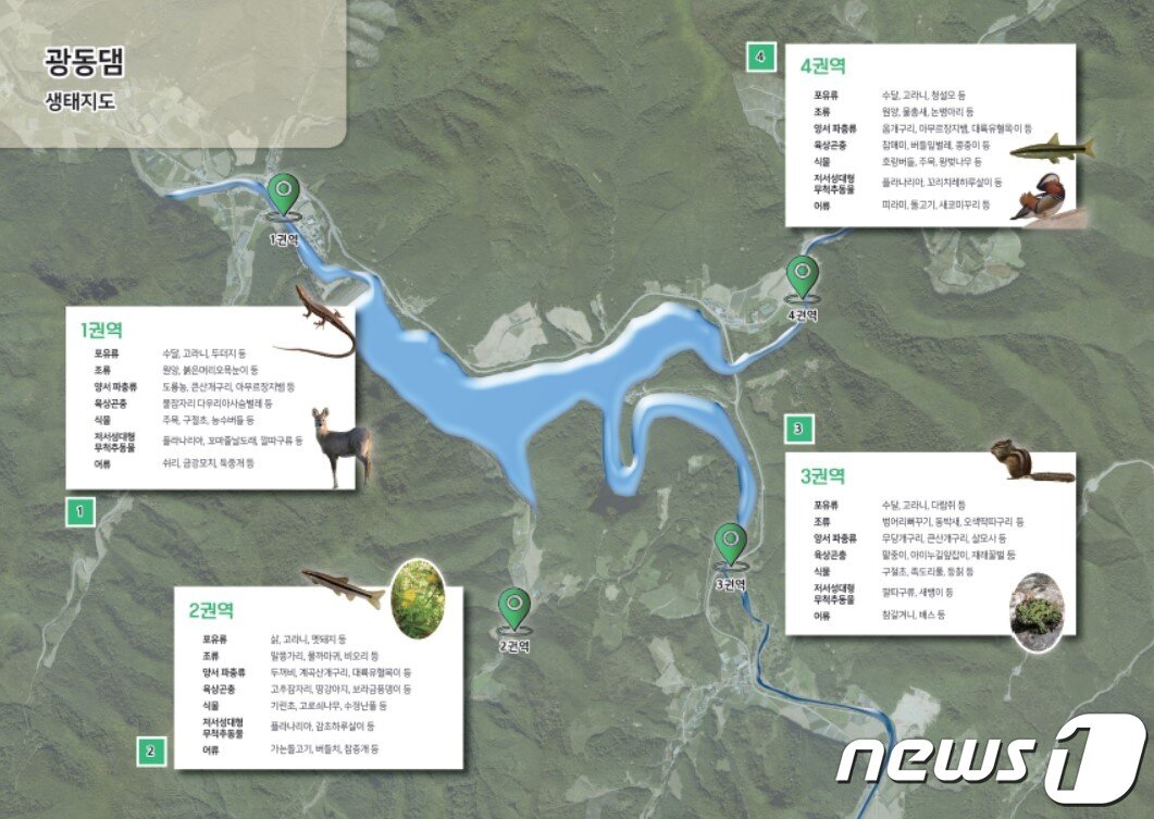 본문 이미지 - 광동댐 생태지도 자료.&#40;한국수자원공사 한강유역관리처 제공&#41; 2023.3.14/뉴스1