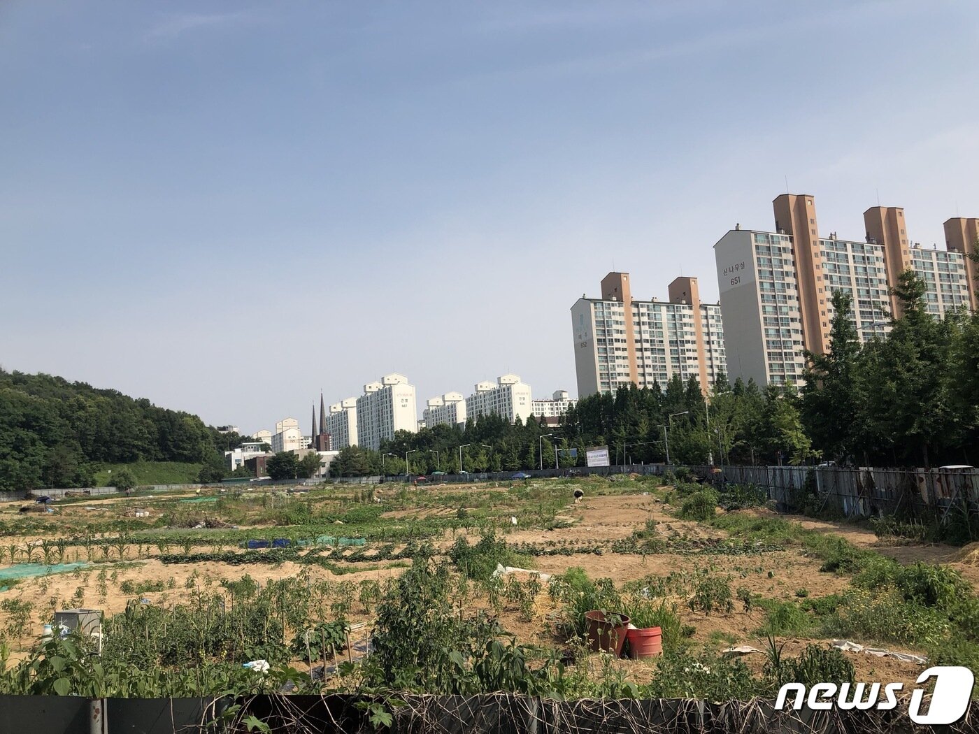 본문 이미지 - 미개발된 영통지구 종합의료시설 부지.(수원시 제공)