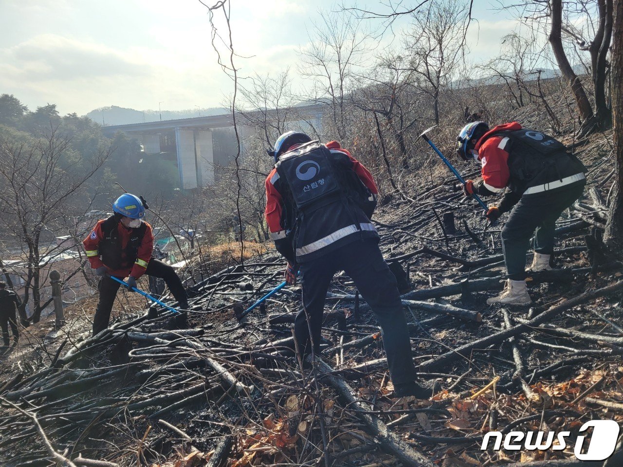 18일 오후 2시33분쯤 충북 옥천군 청성면 한 야산에서 불이나 1시간 여만에 꺼졌다.&#40;산림청 제공&#41;/2023.03.18./뉴스1