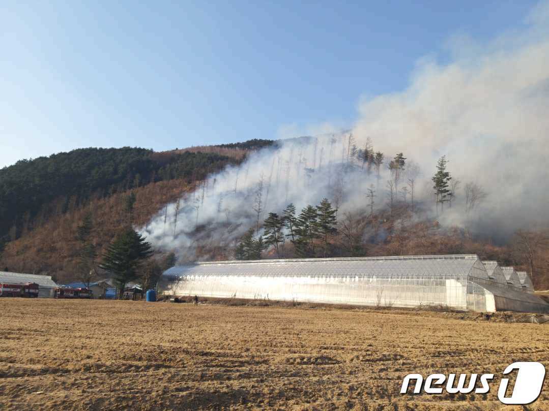 18일 오후 발생한 강원 평창 진부면 신기리 산불 진화 현장.&#40;강원도소방본부 제공&#41; 2023.3.18/뉴스1