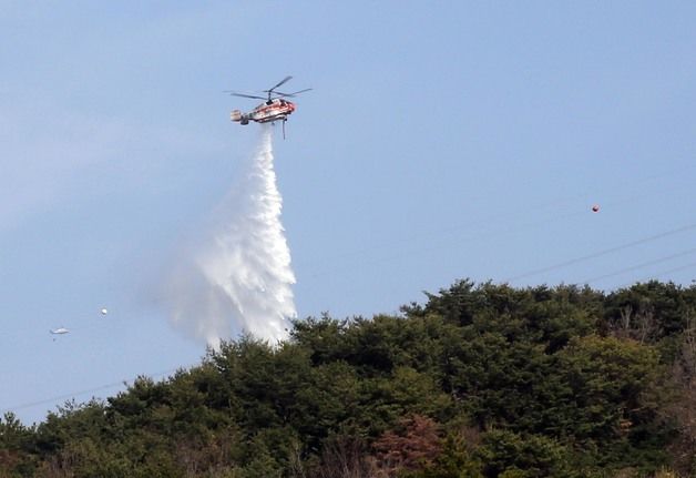 순천시 산불방지대책본부 가동…"담배꽁초 소각행위 엄중 처벌"