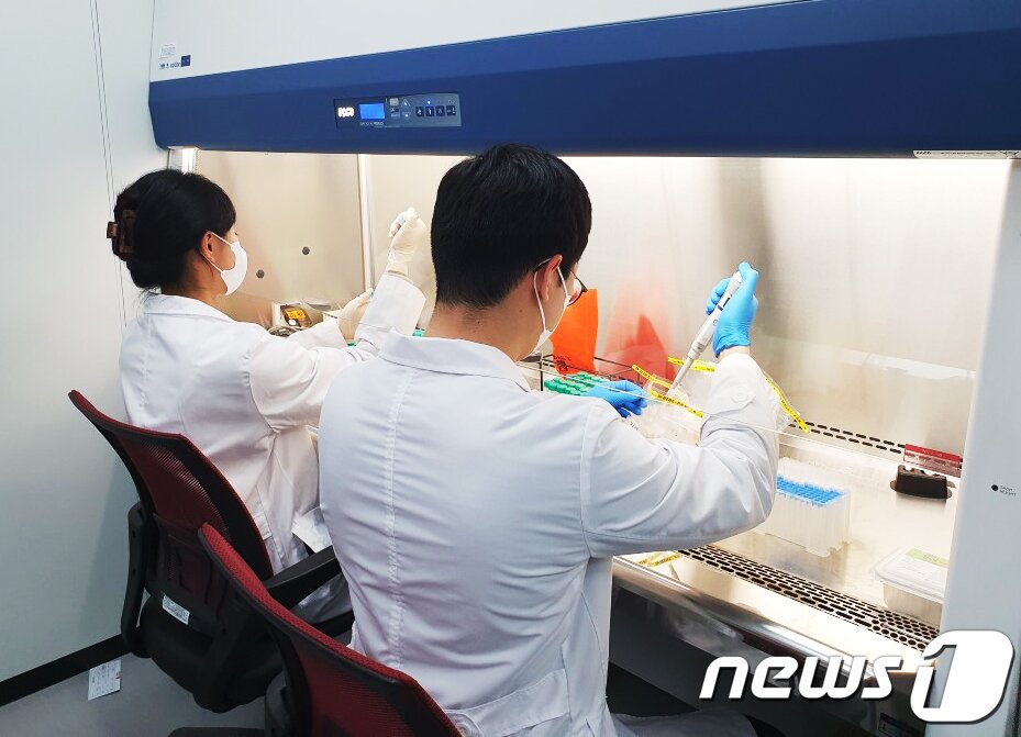 본문 이미지 - 광주보건환경연구원 직원들이 항생제 내성균 검사를 하고 있다.(사진은 기사 내용과 무관함) / 뉴스1 ⓒ News1