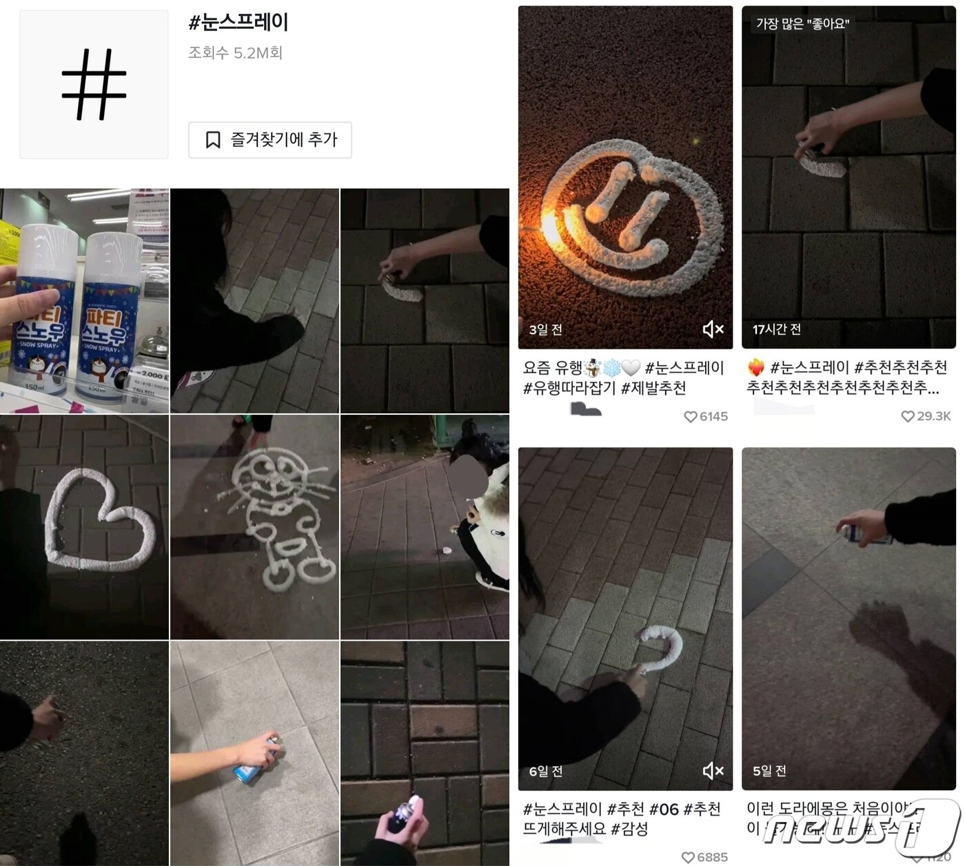 본문 이미지 - (틱톡 갈무리)