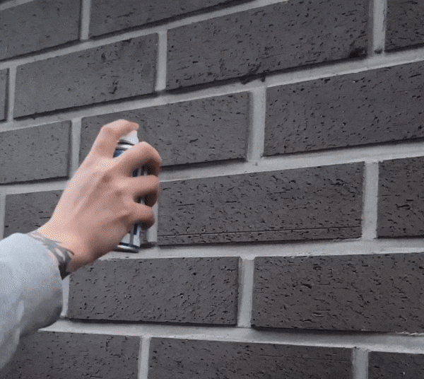 본문 이미지 - (인스타그램 갈무리)