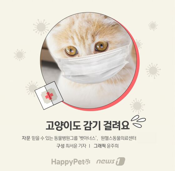 펫카드]
