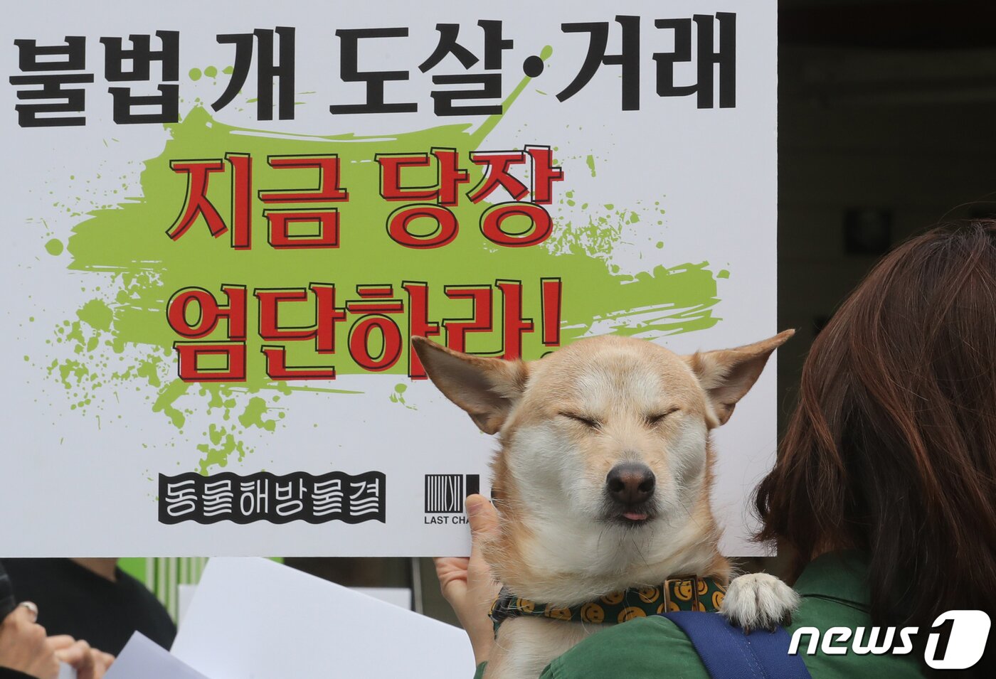 본문 이미지 - 23일 서울 서대문구 신촌 유플렉스 앞 스타광장에서 동물해방물결 회원들이 '국제 강아지의 날'을 맞아 개 식용 문제의 종식을 촉구하는 기자회견을 하고 있다. 2023.3.23/뉴스1 ⓒ News1 송원영 기자