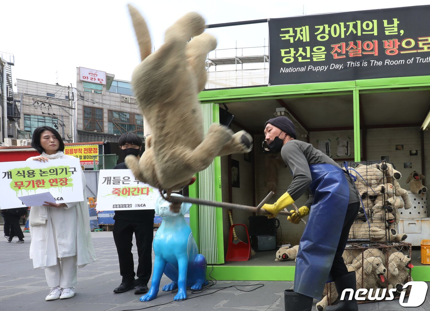 본문 이미지 - 23일 서울 서대문구 신촌 유플렉스 앞 스타광장에서 동물해방물결 회원들이 '국제 강아지의 날'을 맞아 불법 개 도살장을 재현한 컨테이너를 설치하고 개 식용 종식을 촉구하는 퍼포먼스를 하고 있다. 2023.3.23/뉴스1 ⓒ News1 송원영 기자