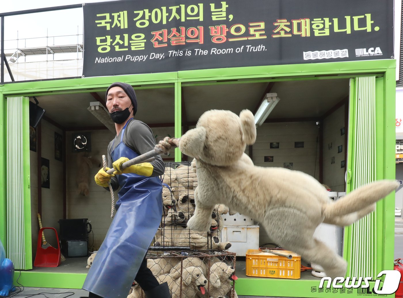 본문 이미지 - 23일 서울 서대문구 신촌 유플렉스 앞 스타광장에서 동물해방물결 회원들이 '국제 강아지의 날'을 맞아 불법 개 도살장을 재현한 컨테이너를 설치하고 개 식용 종식을 촉구하는 퍼포먼스를 하고 있다. 2023.3.23/뉴스1 ⓒ News1 송원영 기자