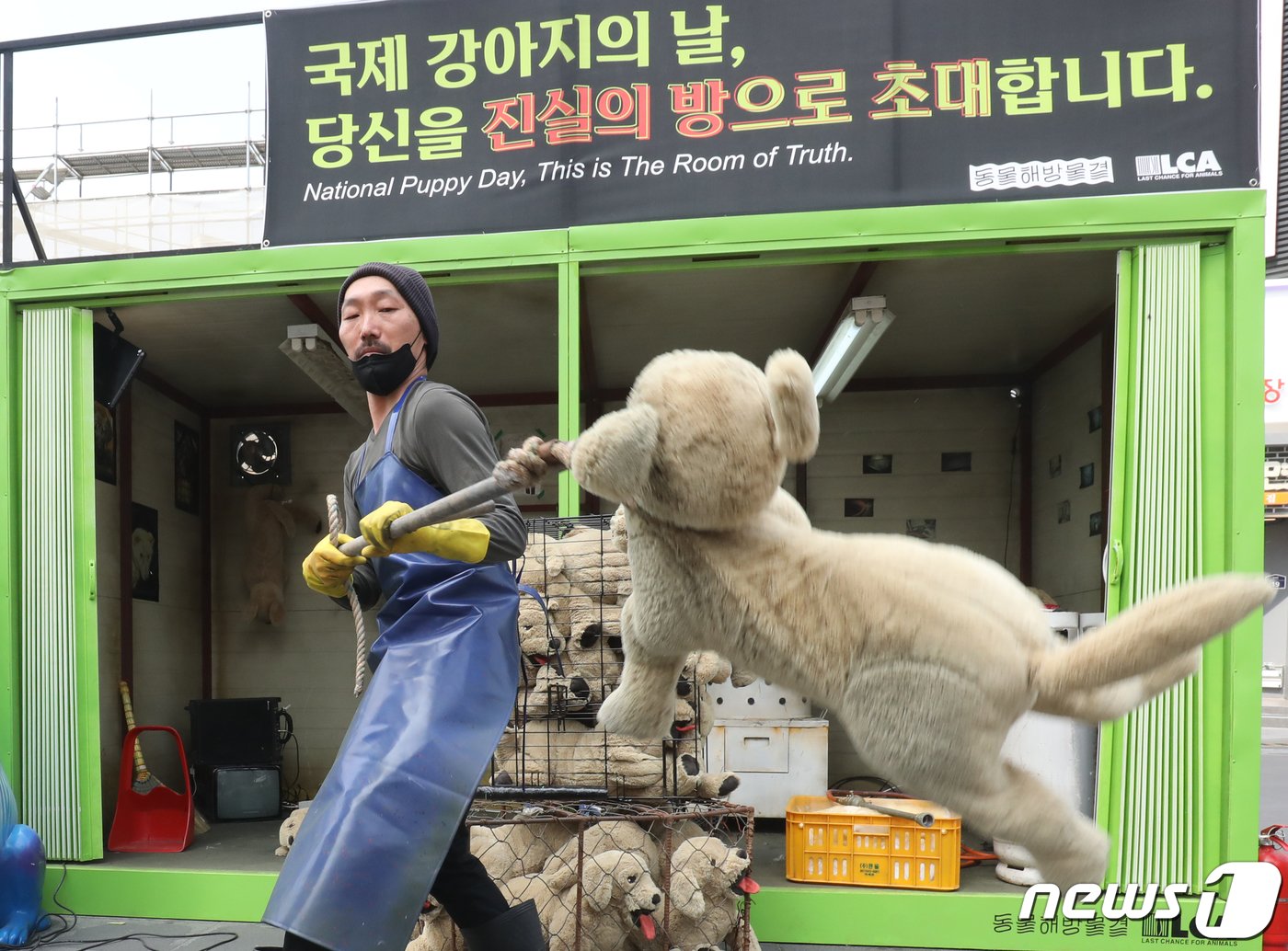 23일 서울 서대문구 신촌 유플렉스 앞 스타광장에서 동물해방물결 회원들이 &#39;국제 강아지의 날&#39;을 맞아 불법 개 도살장을 재현한 컨테이너를 설치하고 개 식용 종식을 촉구하는 퍼포먼스를 하고 있다.  2023.3.23/뉴스1 ⓒ News1 송원영 기자