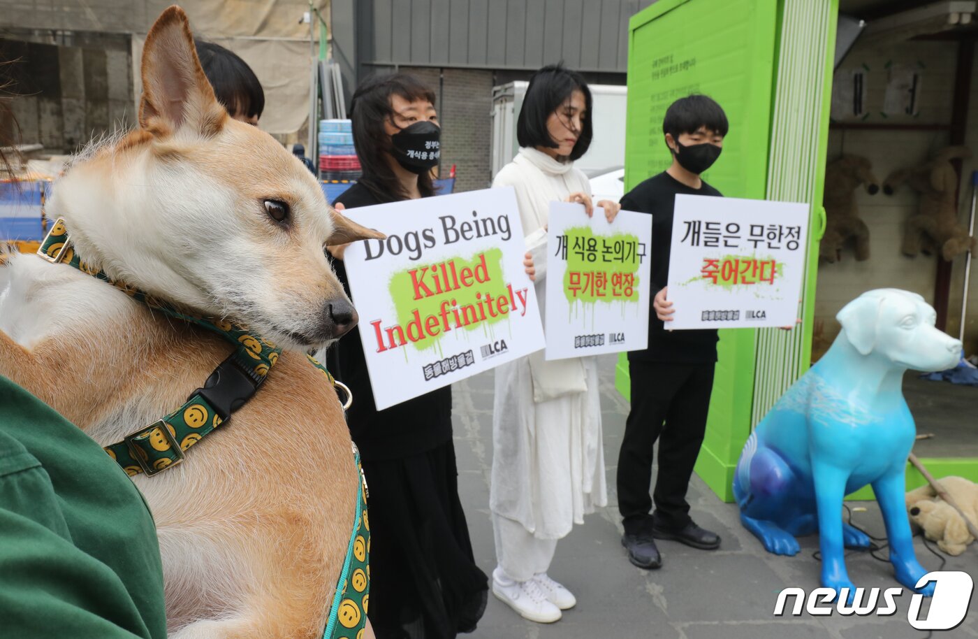 본문 이미지 - 23일 서울 서대문구 신촌 유플렉스 앞 스타광장에서 동물해방물결 회원들이 '국제 강아지의 날'을 맞아 개 식용 문제의 종식을 촉구하는 기자회견을 하고 있다. 2023.3.23/뉴스1 ⓒ News1 송원영 기자