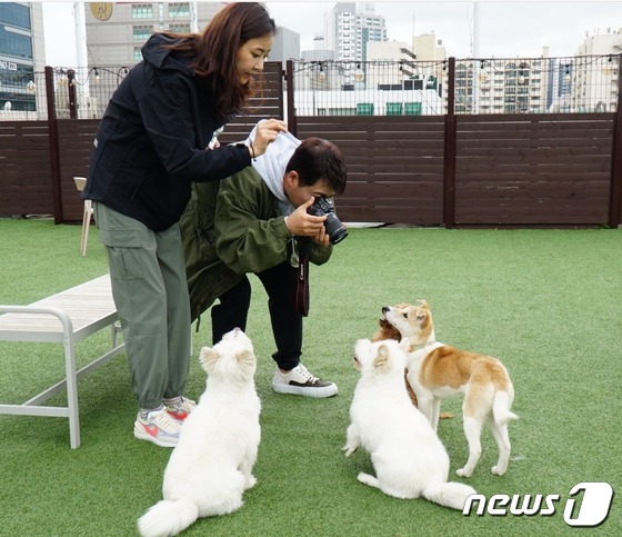 옹기종기 모여있는 강아지들(도그어스플래닛 제공) © 뉴스1