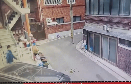 본문 이미지 - (온라인 커뮤니티 갈무리)