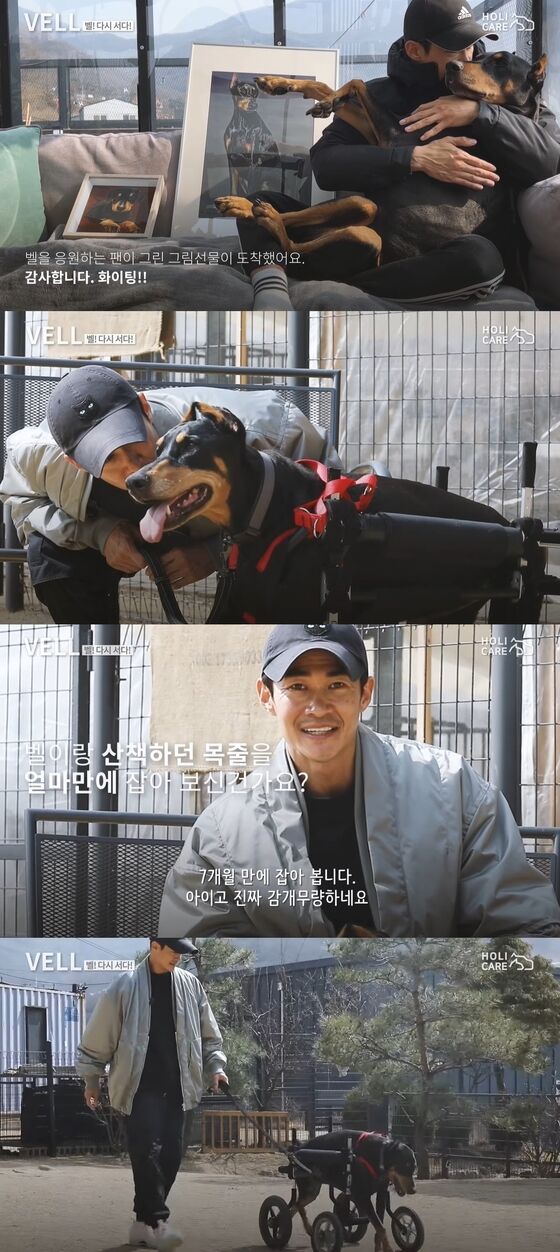 지난해 8월 전신마비 판정을 받았던 벨의 근황이 전해졌다. 벨은 이제 휠체어를 이용해 산책도 할 수 있게 됐을 정도로 많이 호전된 모습이다. (유튜브)