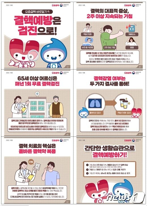 본문 이미지 - 결핵 바로알기 카드뉴스/질병관리청 제공