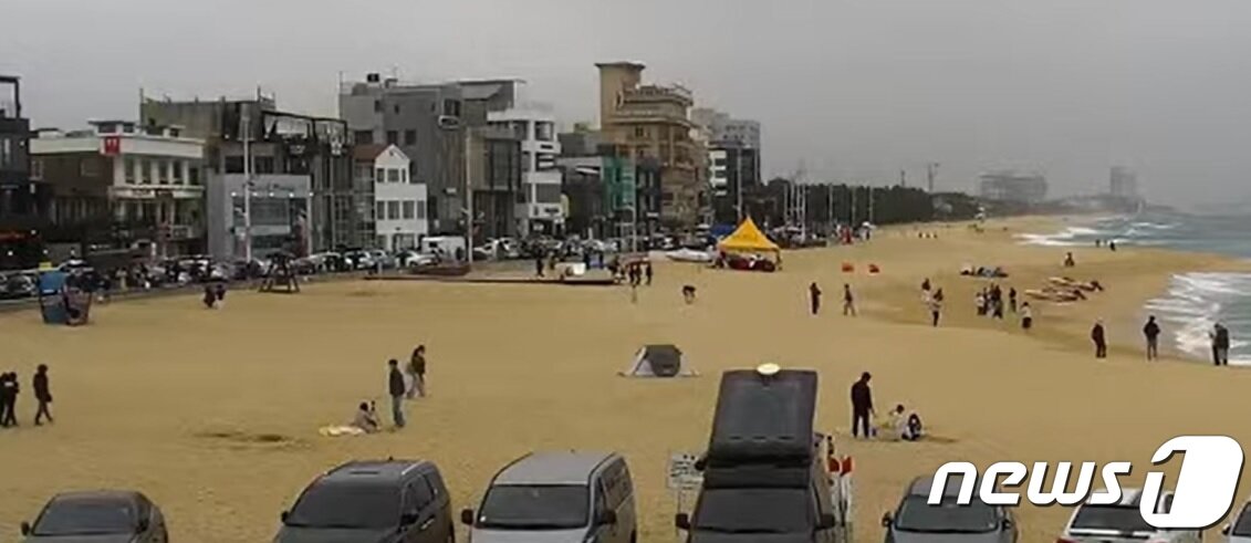 본문 이미지 - 25일 강원 강릉커피거리주변. (강릉시 실시간 유튜브 캡처) 2023.3.25/뉴스1 