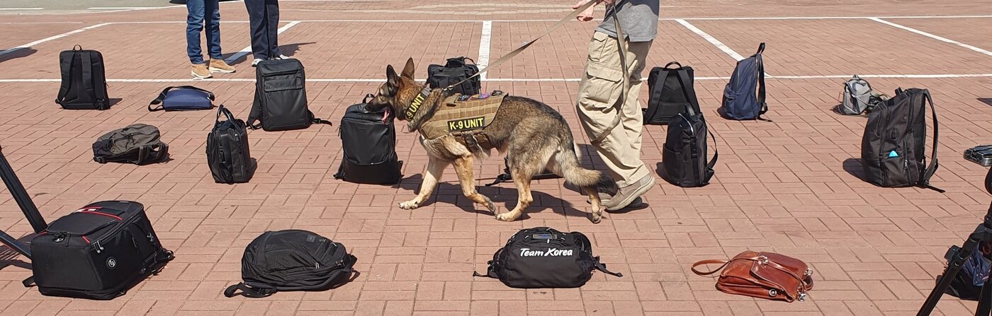 본문 이미지 - 28일 부산 작전기지에 입항한 미국 해군 항공모함 '니미츠'에 내외신 취재진이 오르기 전 미 군견이 가방 등 소지품을 수색하고 있다.2023.3.28/뉴스1 박응진 기자