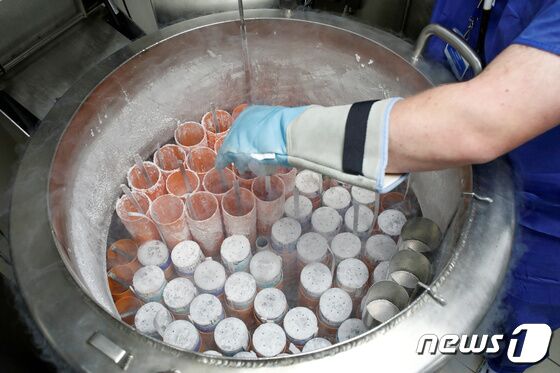 2019년 9월 프랑스 파리의 한 병원 실험실에서 연구원이 냉동된 정자 샘플 상태를 점검하고 있다. 2019.09.19. © 로이터=뉴스1 © News1 김성식 기자