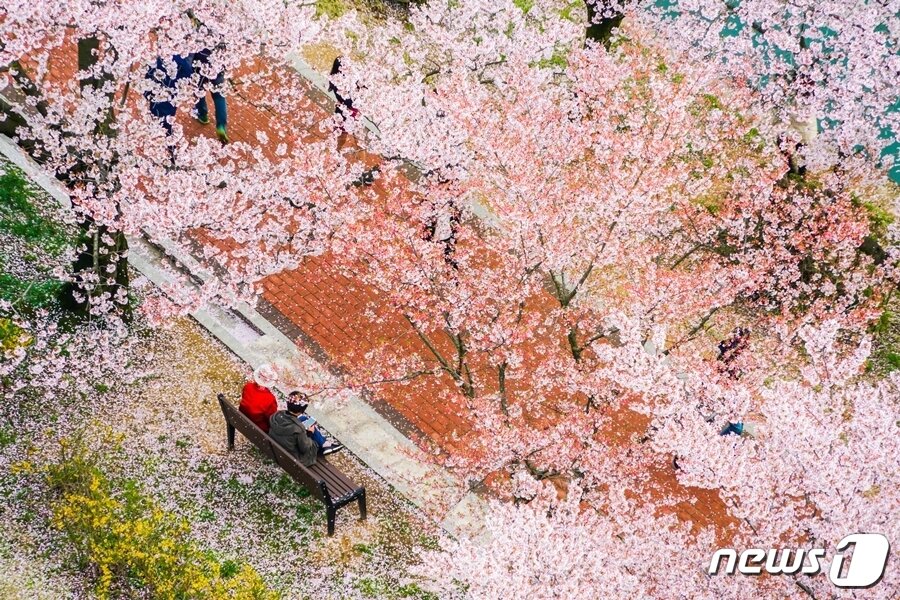 본문 이미지 - 한화리조트 경주에서 본 보문호수 모습(한화호텔앤드리조트 제공)