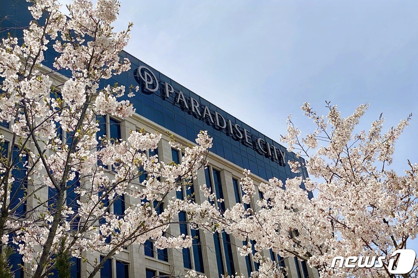 본문 이미지 - (파라다이스 제공)