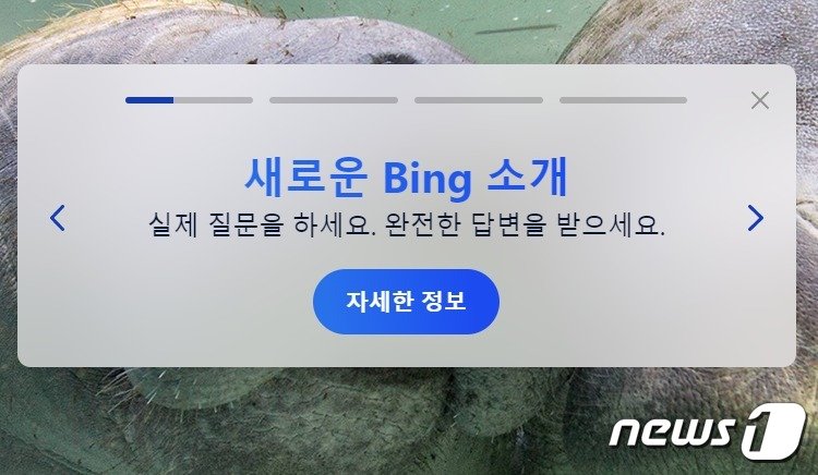 마이크로소프트 검색엔진 &#39;빙&#39;이 챗GPT를 적용해 &#39;새로운 빙&#40;New Bing&#41;&#39; 서비스를 시작했다.ⓒ 뉴스1