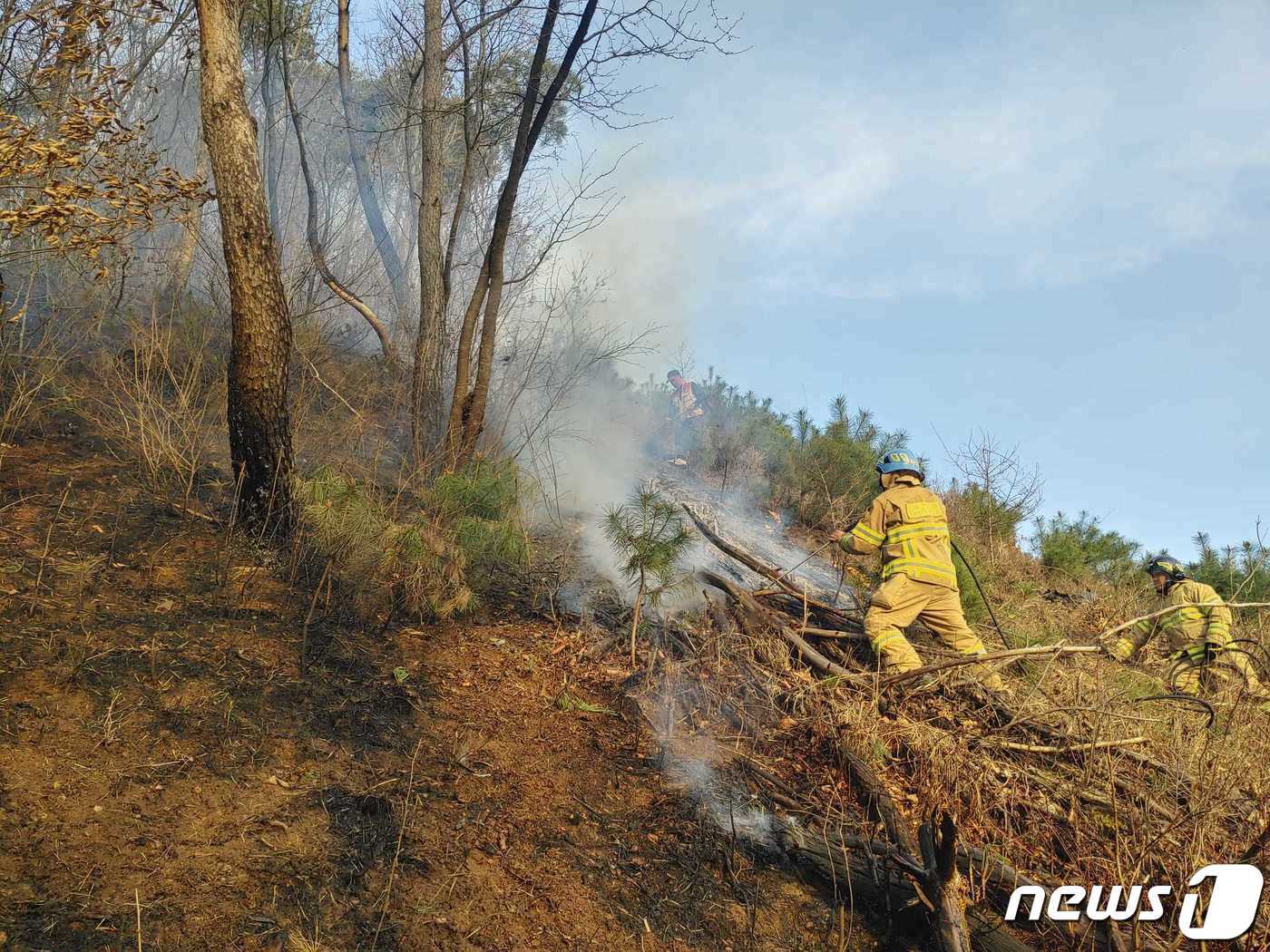 본문 이미지 - 30일 오후 4시 7분쯤 강원 횡성군 청일면 신대리의 한 야산에서 불이 나 소방과 산림당국이 진화 작업을 벌였다.(강원도 소방본부 제공) 2023.3.30/뉴스1 신관호 기자 
