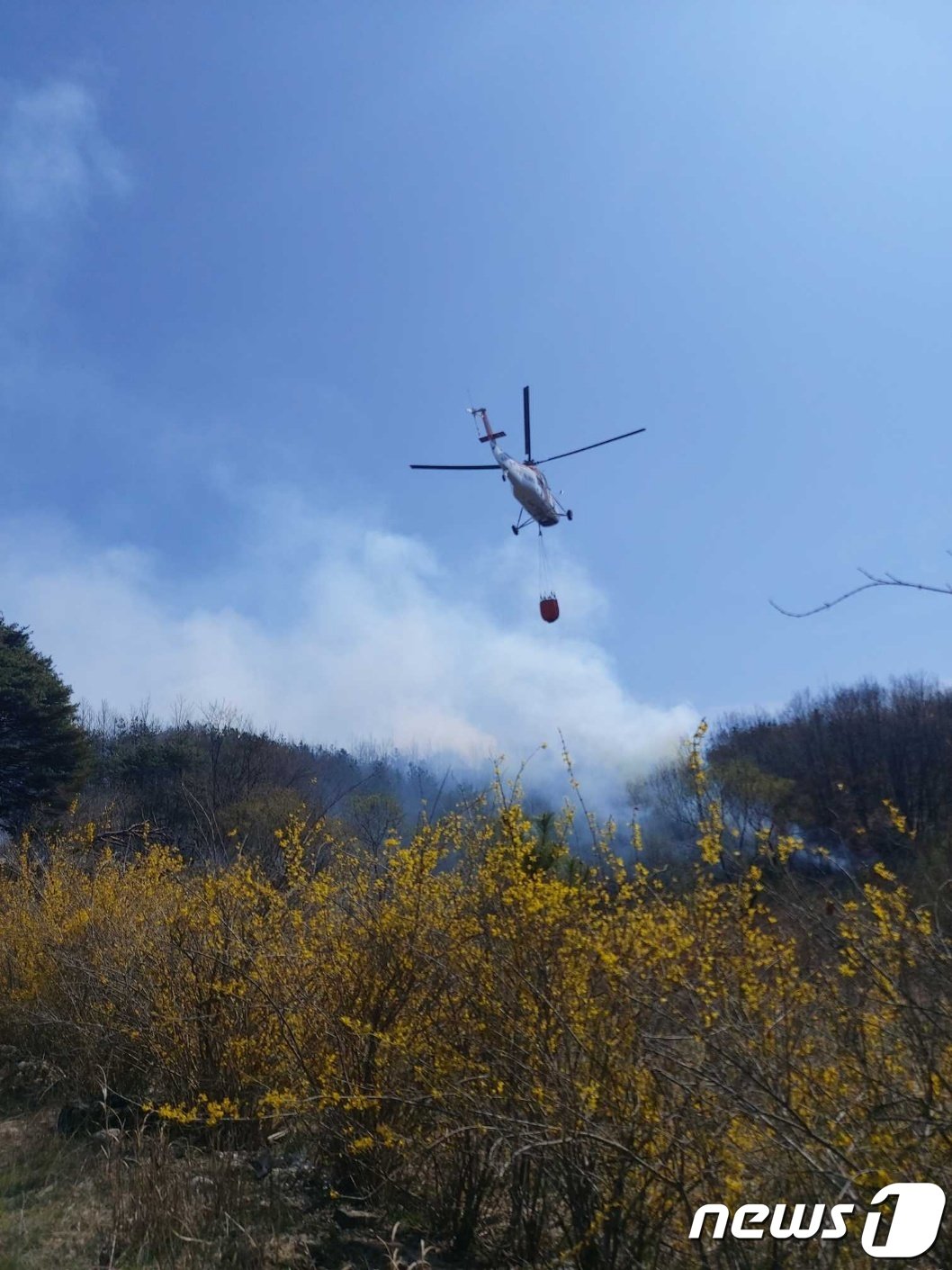 강릉 연곡면 산불 진화 현장.&#40;강원도소방본부 제공&#41; 2023.3.30/뉴스1