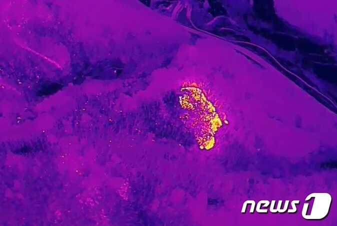 본문 이미지 - 30일 낮 12시 47분쯤 강원 화천군 화천읍 중리에서 발생한 산불의 진화율이 야간진화작전 속 오후 10시 기준 95%를 기록한 가운데, 환동해특수대응단의 열화상드론이 촬영한 산불현장. (강원도 소방본부 제공) 2023.3.30/뉴스1