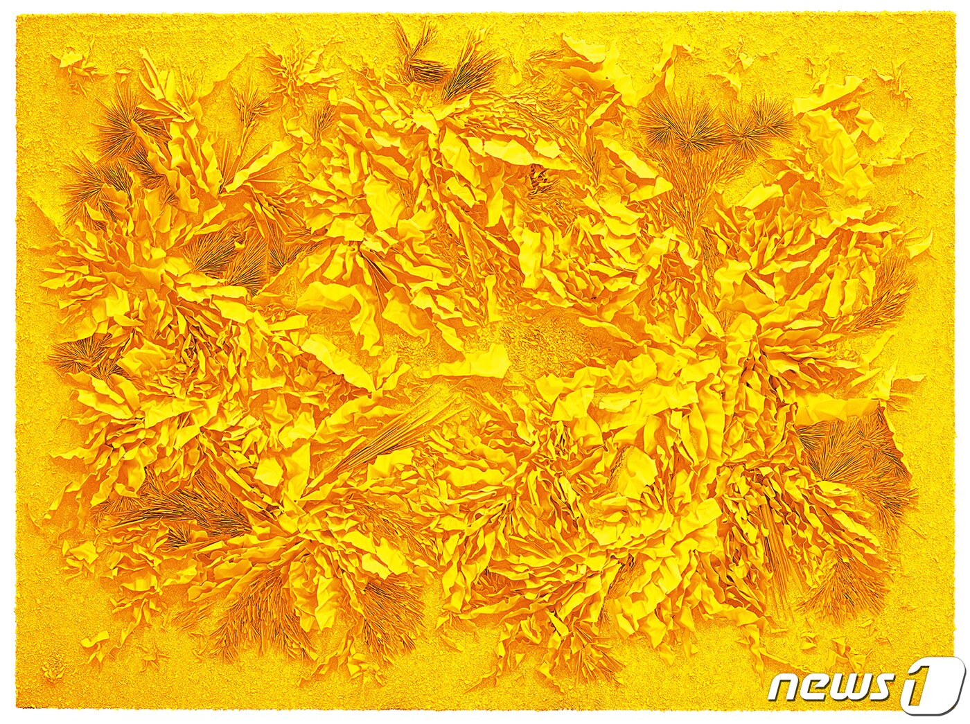 본문 이미지 - Yellow inside yellow 22-83, 194x259x18.5cm, porcelain, admixture, stain, 2022