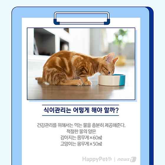 펫카드 반려동물 만성신부전 © 뉴스1
