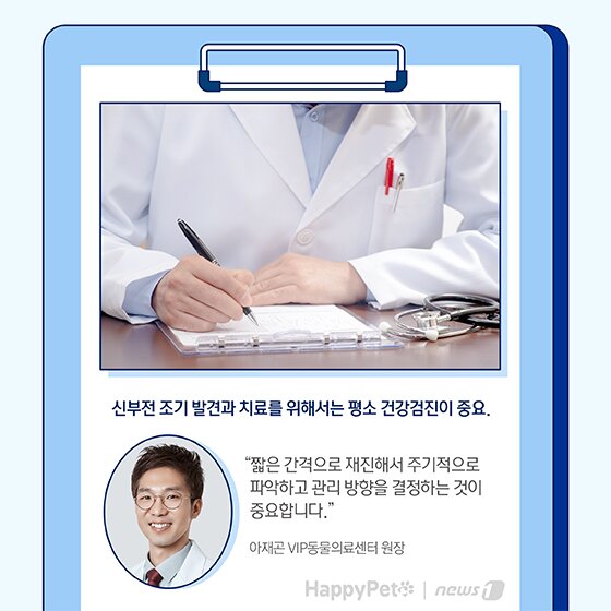 본문 이미지 - 펫카드 반려동물 만성신부전 ⓒ 뉴스1