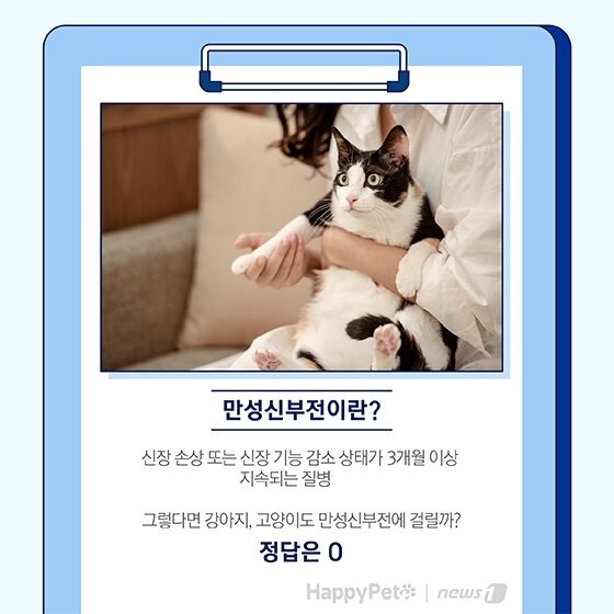 본문 이미지 - 펫카드 반려동물 만성신부전 ⓒ 뉴스1
